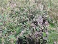 秋の訪れ 秋の訪れ
